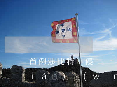 首例涉比特幣侵權糾紛宣判背后，看互聯(lián)網(wǎng)金融都經(jīng)歷了什么？